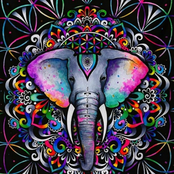 Follow me❤ - Picture 3 of 3